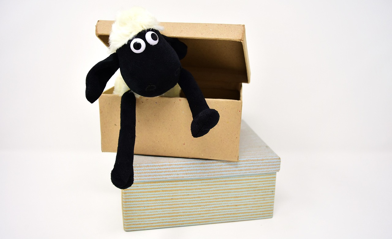 thùng carton có nắp đậy