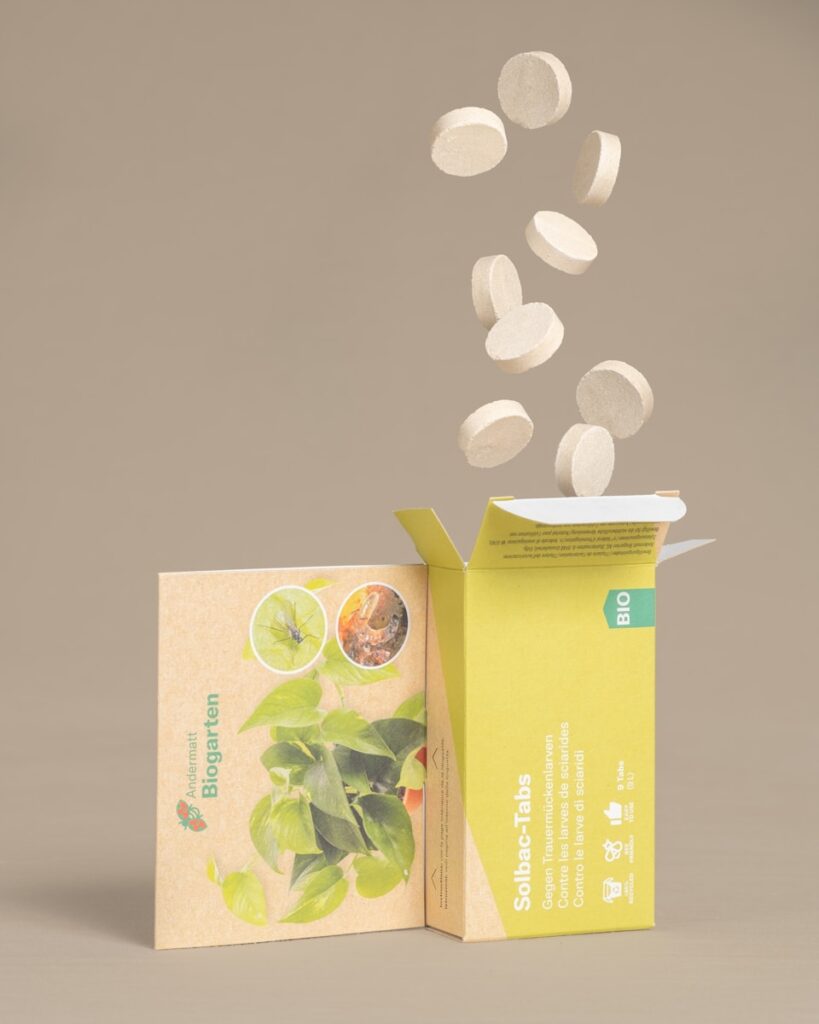 Thương hiệu lớn in carton